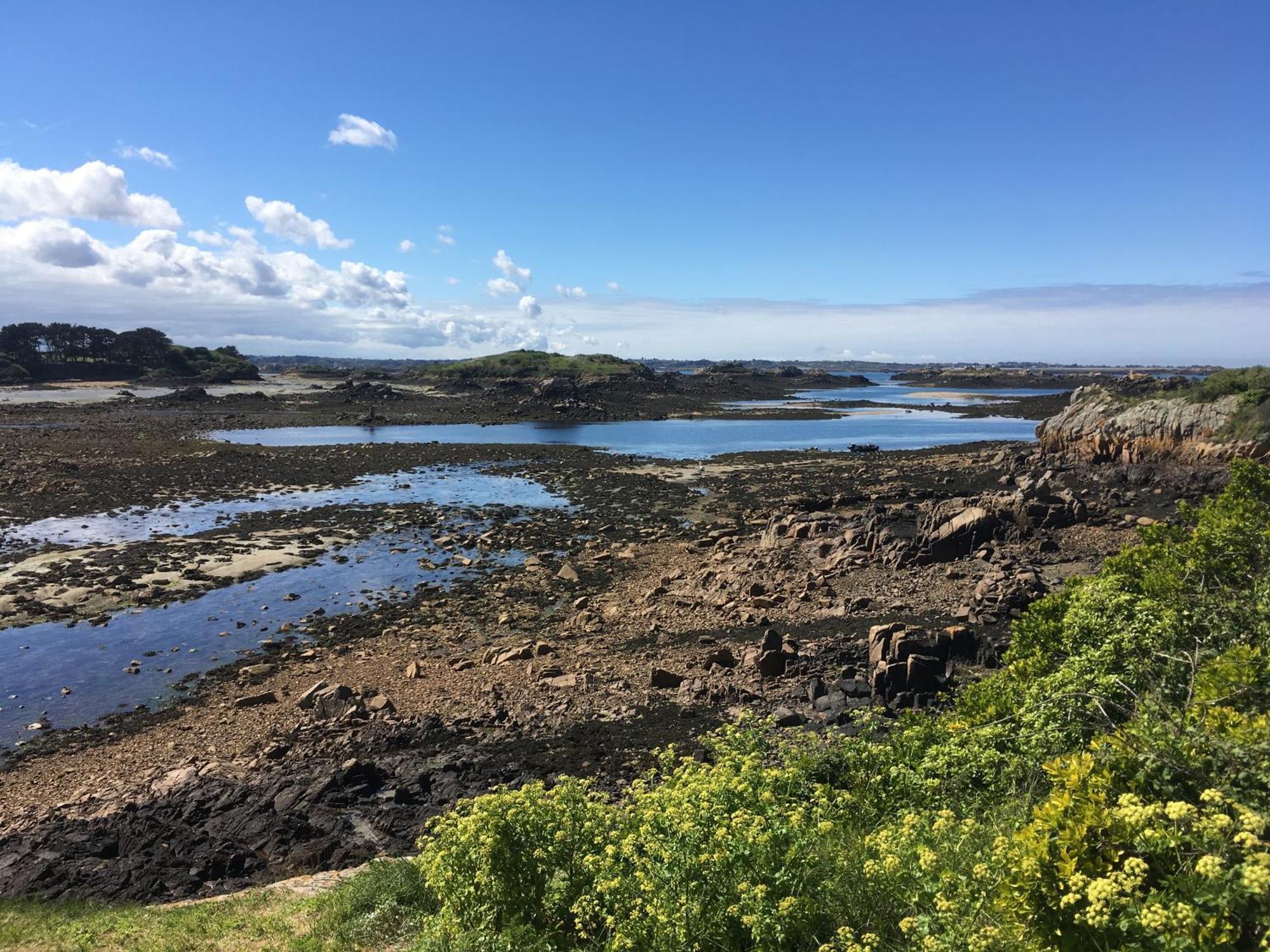 Gite Paimpol Le Loarwenn 外观 照片