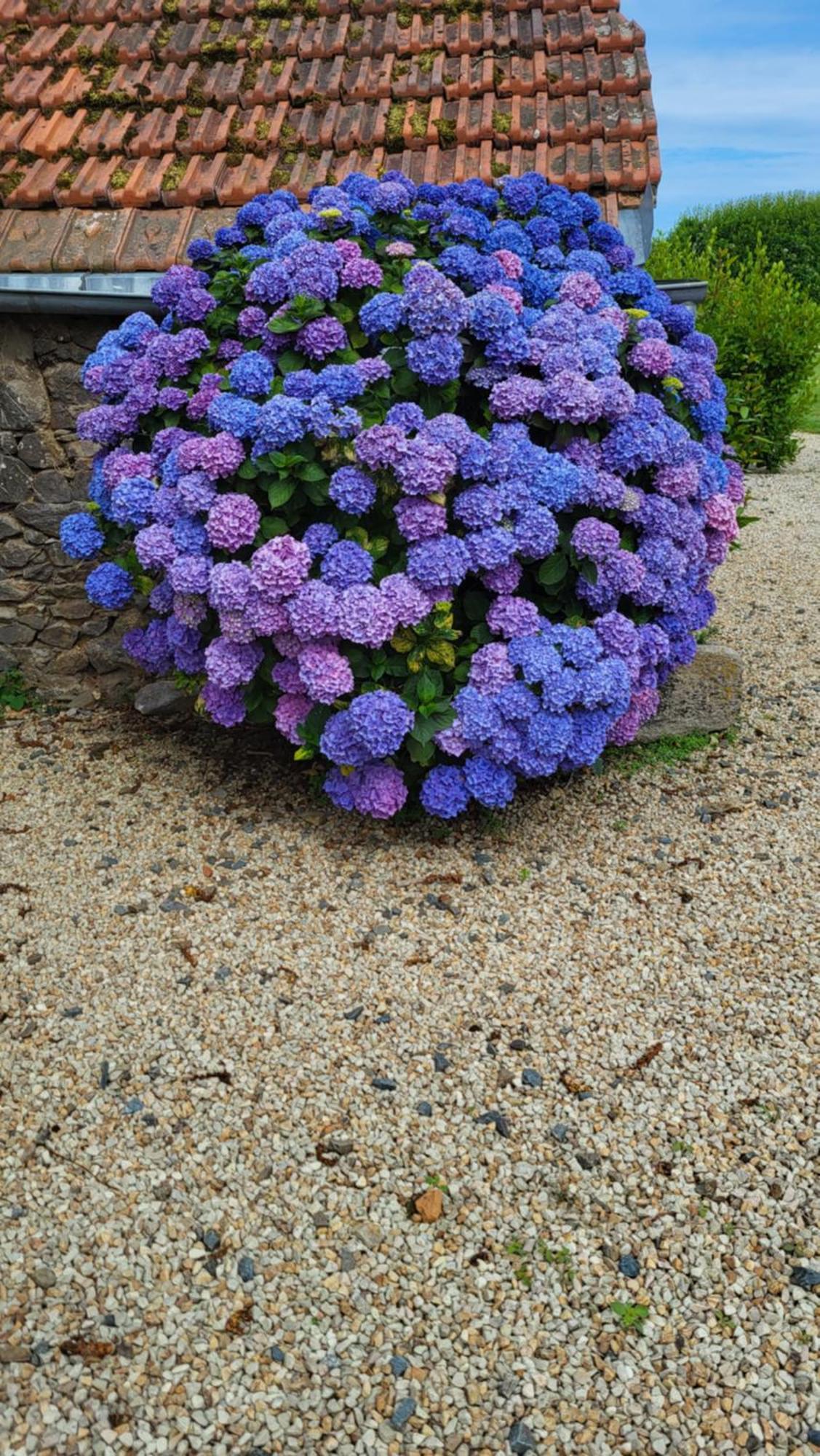 Gite Paimpol Le Loarwenn 外观 照片